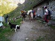 Dalla Bocchetta di Trona giro ad anello: LAGO ROTONDO - PIZZO PARADISO - VAL D'INFERNO – GIAROLO il 23 agosto 2011  - FOTOGALLERY